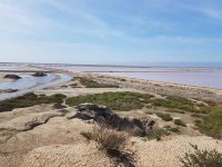 Camargue Saline de Giraud