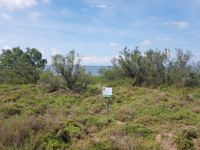 Camargue Etang du Vaccaré