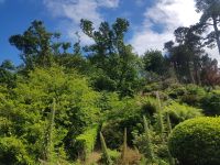 Jersey ehemaliger Park des Chateau la Chaire