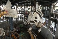 auf dem Karussell bei 