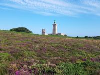 Cap Fréhel