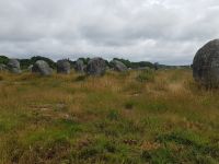 Carnac Steinreihen von Le Ménec