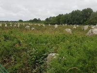 Carnac Steinreihen von Le Ménec