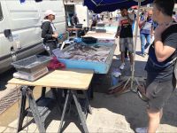 Provence Intensive - Auf dem sonntäglichen Fischmarkt