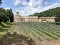Provence Intensiv - Die Abtei von Senanque