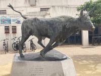 Provence Intensiv - Ein berühmter Kampfstier vor der Arena in Stes. Maries-de-la-Mer