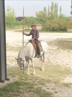 Provence Intensiv - Eine Gardianne (die Tochter des Hauses) auf der Manade Arnauld