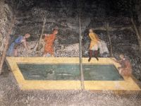 Provence Intensiv - Freskenmalerei im Papstpalast von Avignon