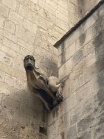 Provence Intensiv - Wasserspeier der Kirche St. Honorat in  der Alyscamps