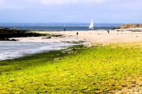 auf der Insel St.Nicolas