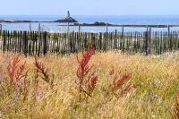 Spaziergang auf St. Nicolas 