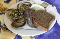 leckere Austern-Vorspeise