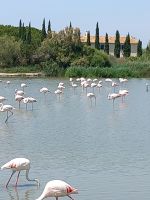 Ornithologischer Park Saintes-Maries-de-la-Mer