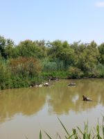 Ornithologischer Park Saintes-Maries-de-la-Mer
