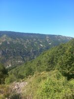 Tal des Flusses Loup