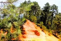 im ehemaligen Okersteinbruch