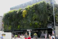 begrünte Markthalle von Avignon