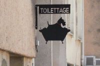 Hundefrisör in Avignon