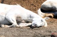 ein kleines Päuschen am vormittag