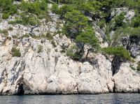 Kalkfelsen der Calanques