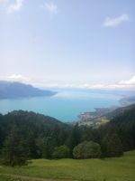 Fahrt zum Rocher de Naye