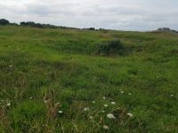 Omaha Beach Pointe du Hoc