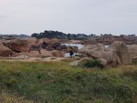 Ploumanac'h Küste des rosafarbenen Granits