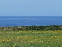  Cap Sizun Pointe de Brézellec Leuchtturminsel von Tévennec