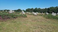Carnac Steinreihen von Le Ménec