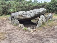 18 Wald bei Kerzerho