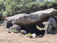 10 Wald bei Carnac.jpg