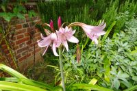 Tag 2, 18.08.2024 Château Vascoeuil 