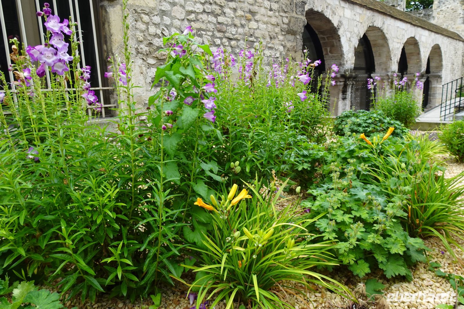 Tag 2, 18.08.2024 Reims