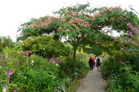 Tag 3, 19.08.2024 Giverny, Gärten von Monet 