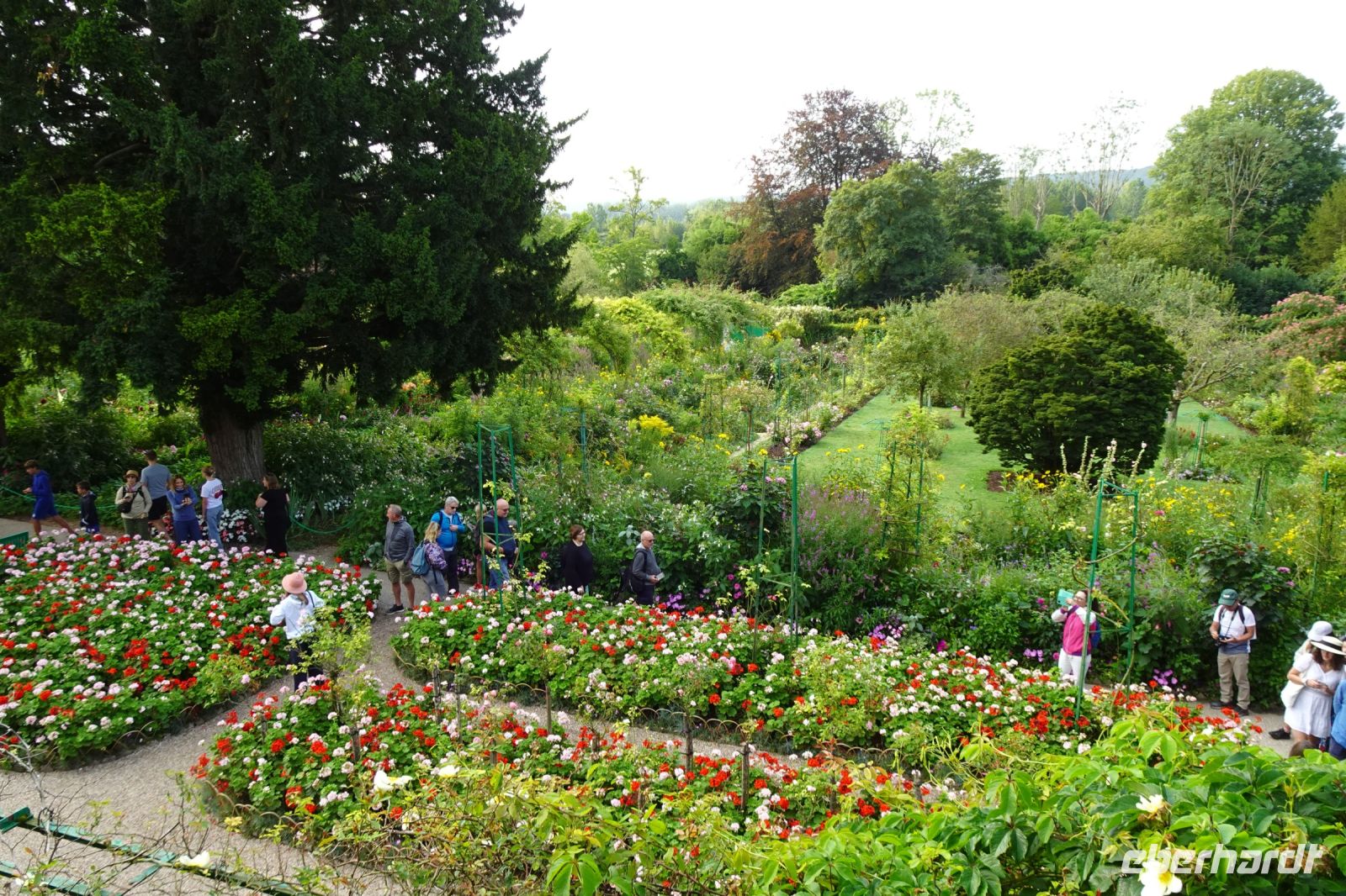 Tag 3, 19.08.2024 Giverny, Gärten von Monet 