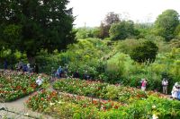 Tag 3, 19.08.2024 Giverny, Gärten von Monet 