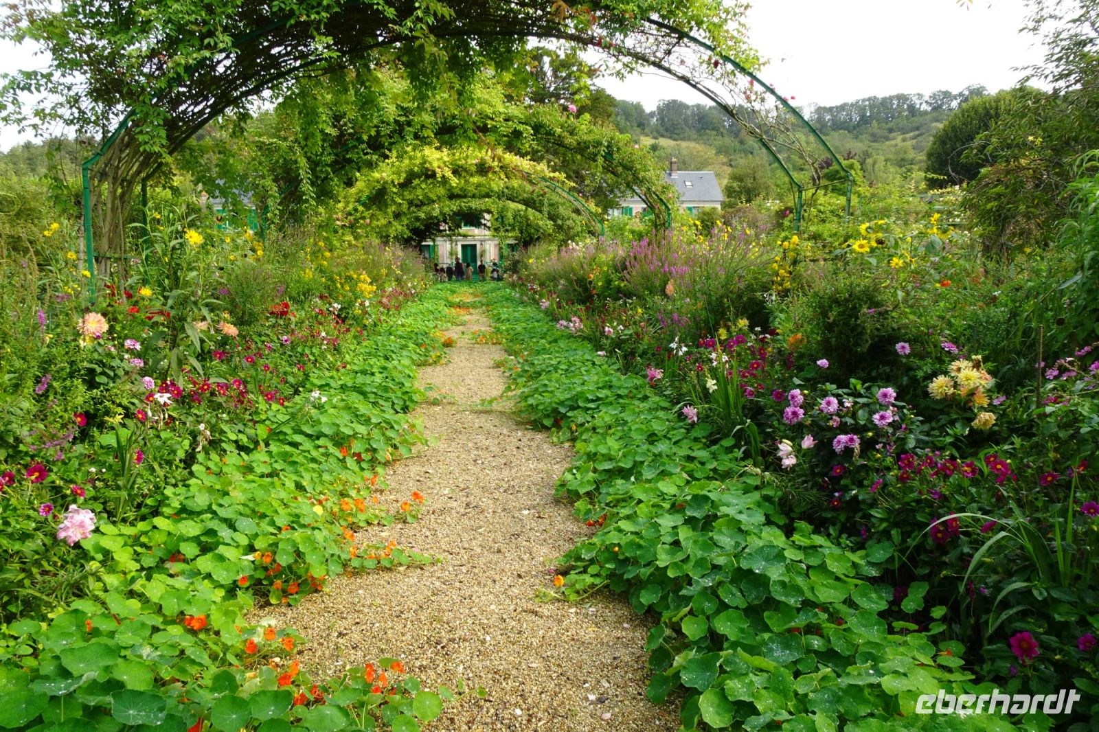 Tag 3, 19.08.2024 Giverny, Gärten von Monet