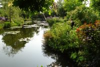 Tag 3, 19.08.2024 Giverny, Gärten von Monet 