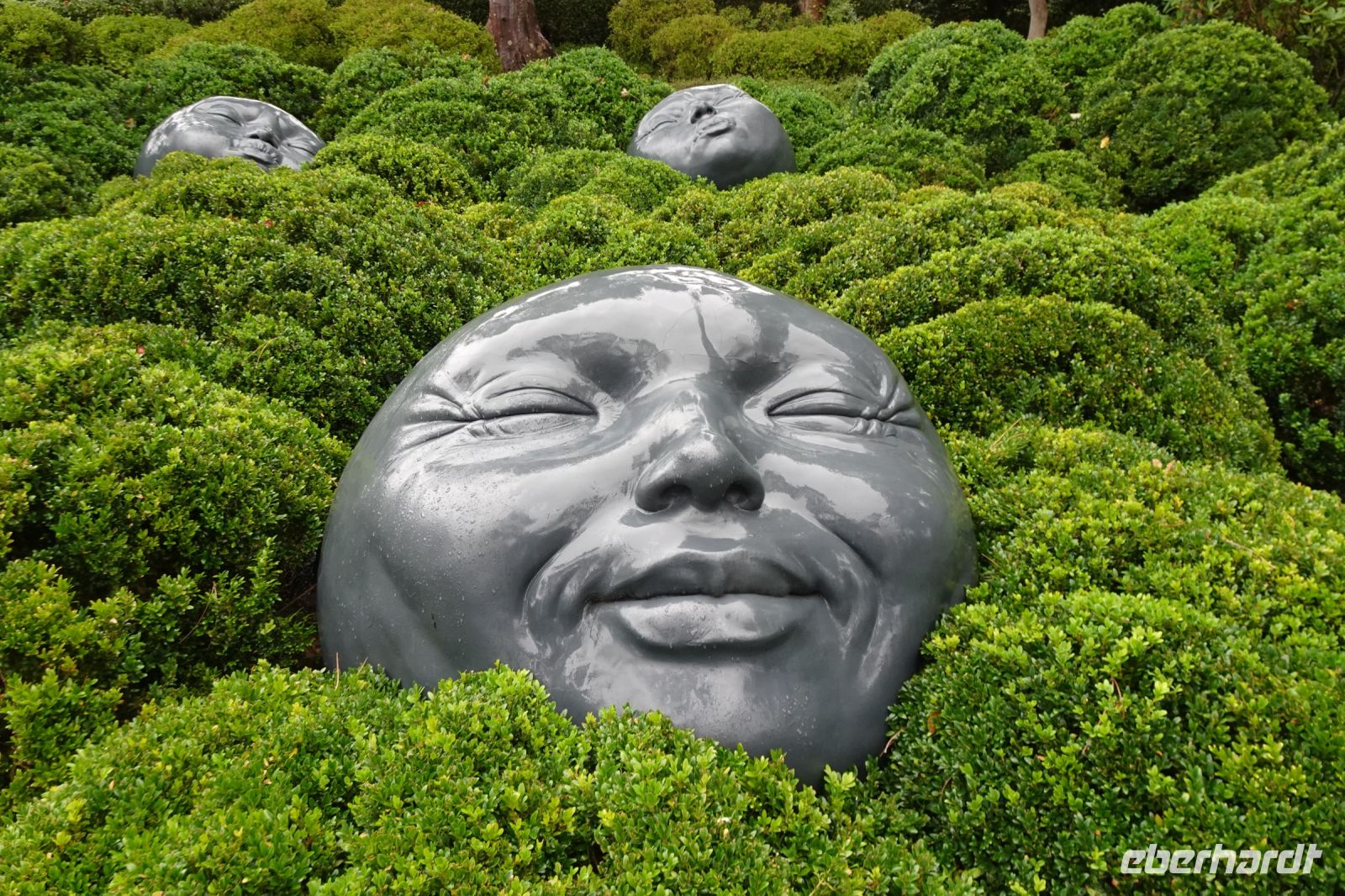 Tag 4, 20.08.2024 Ètretat  