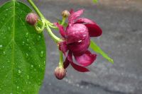 Tag 4, 20.08.2024 Ètretat  