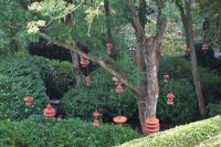 Tag 4, 20.08.2024 Ètretat  