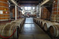 Tag 4, 20.08.2024 Fécamp 