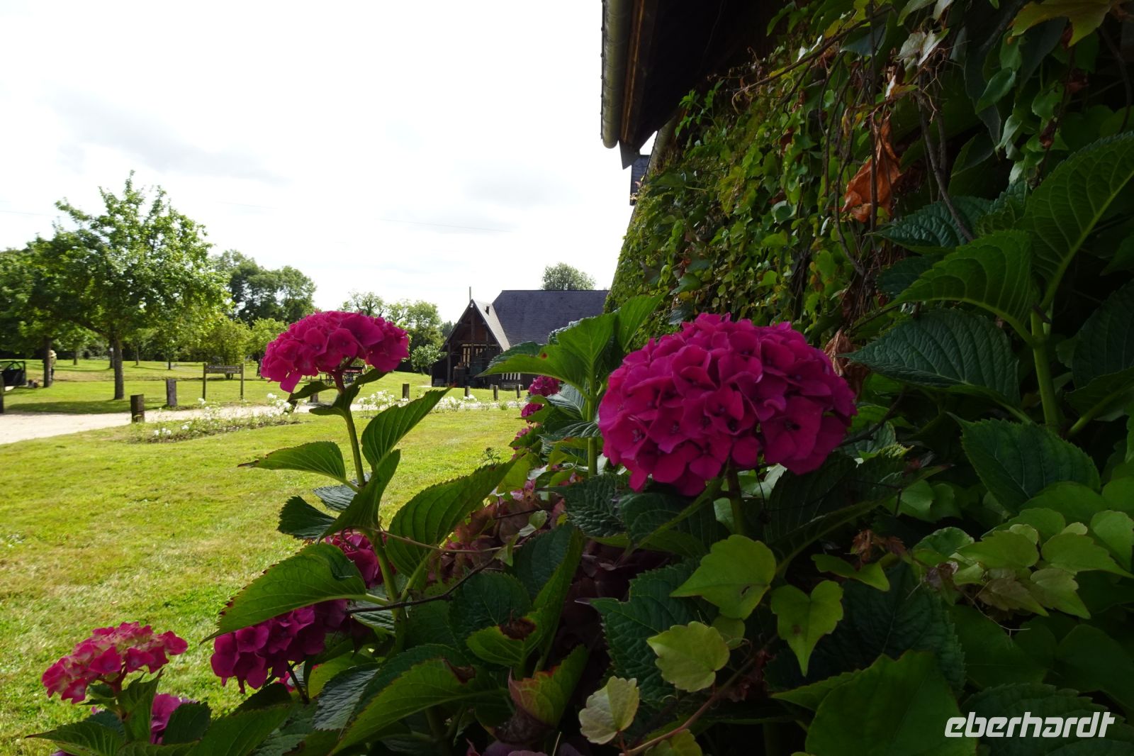 Tag 5, 21.08.2024 Calvados Christian  Druin 