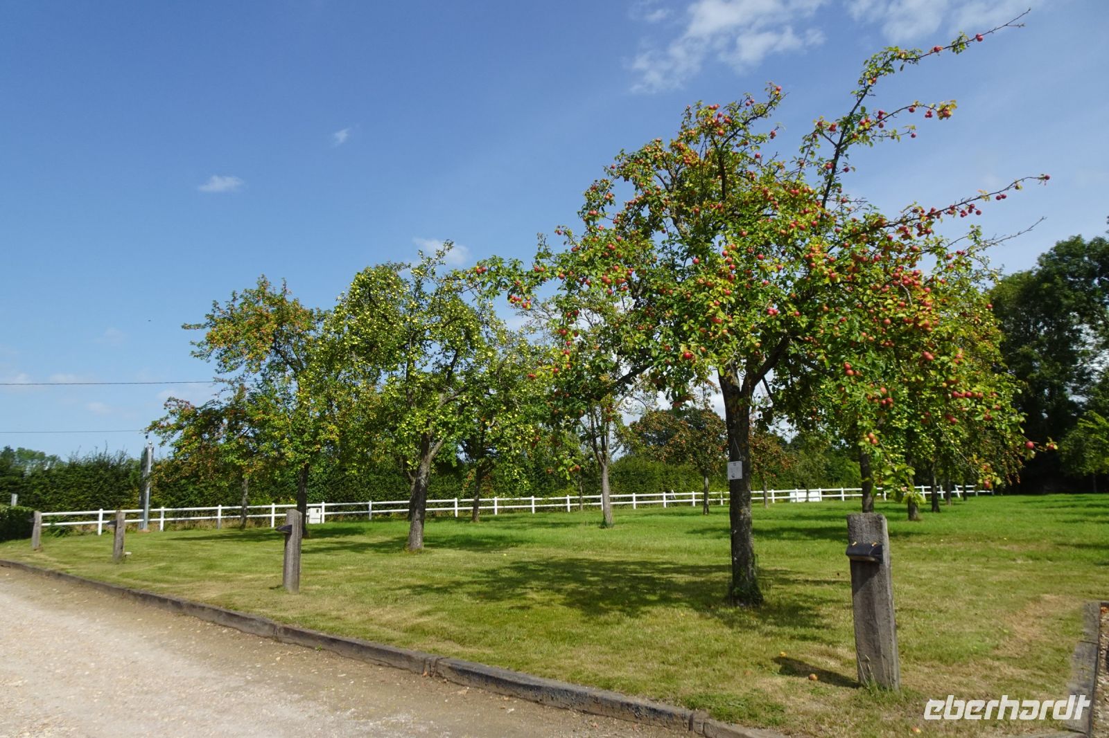 Tag 5, 21.08.2024 Calvados Christian  Druin 