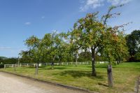 Tag 5, 21.08.2024 Calvados Christian  Druin 