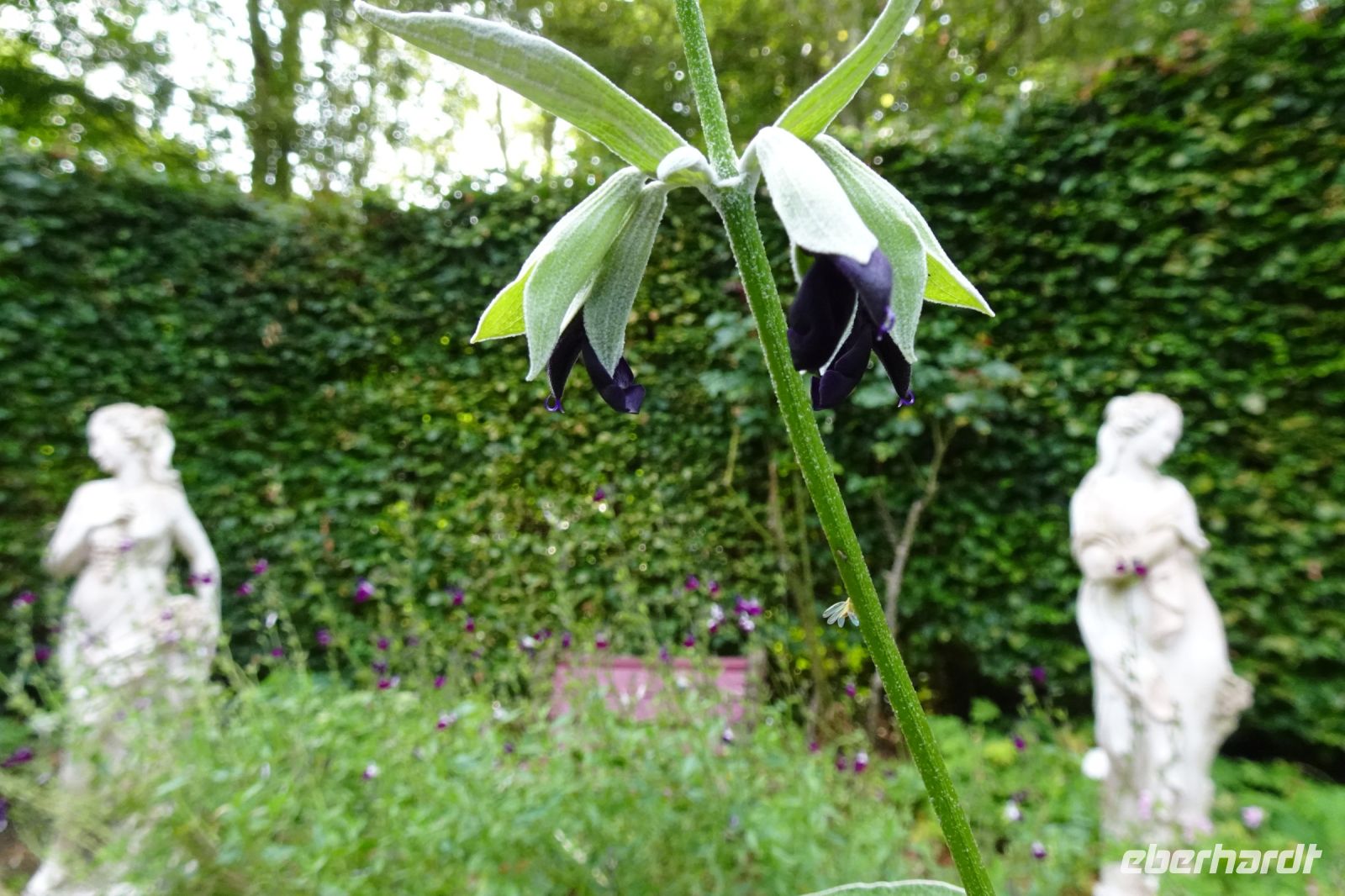 Tag 5, 21.08.2024 Cambremer 