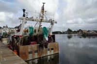 Tag 5, 21.08.2024 Honfleur 