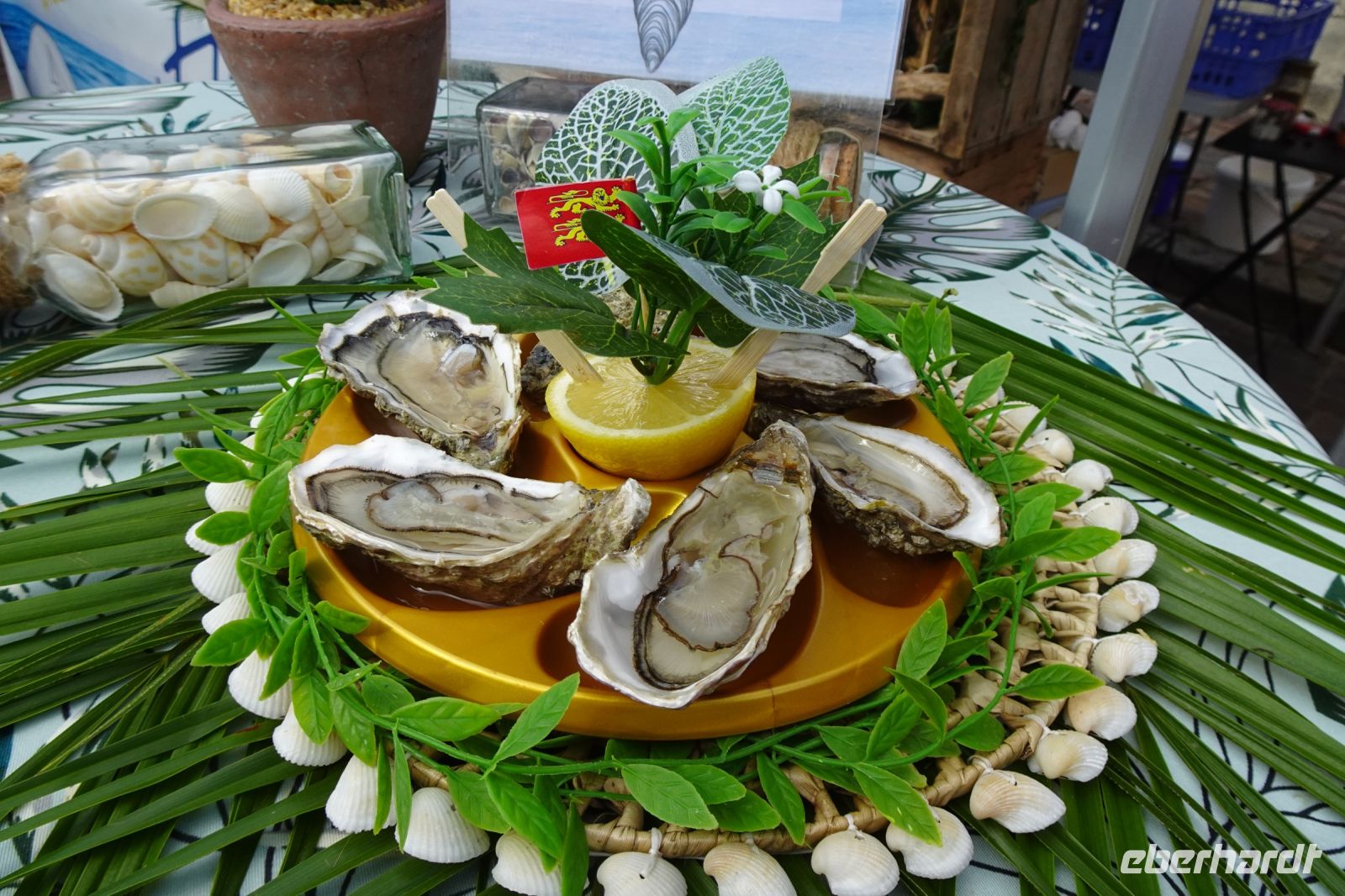 Tag 5, 21.08.2024 Honfleur 