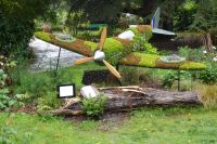 Tag 8 24.08.2024 Coutance 