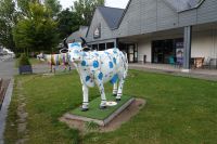 Tag 9, 25.08.2024 Mont St. Michel